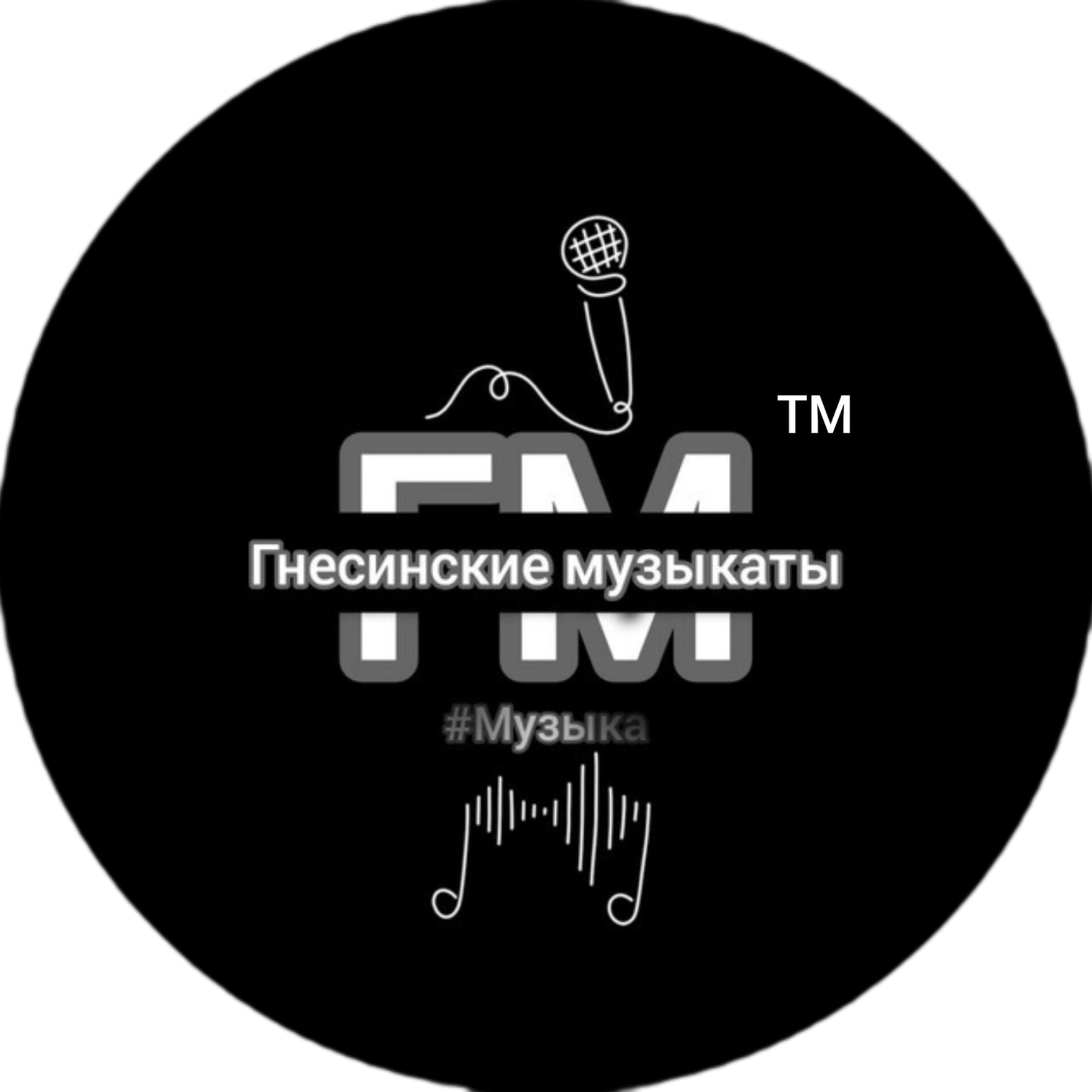 Гнесинские музыканты